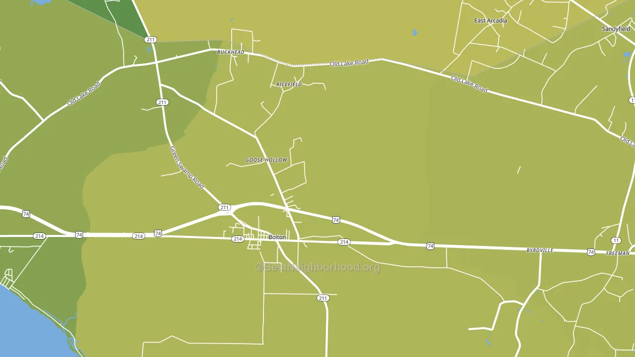 Bolton, NC block-group voter-turnout map
