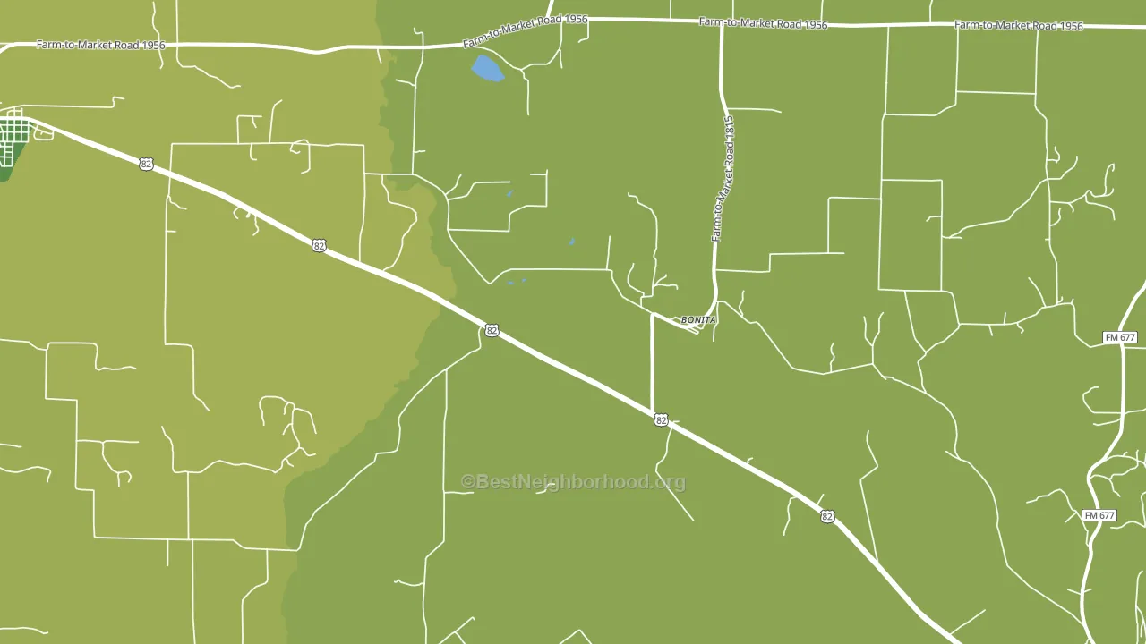 Bonita, TX block-group voter-turnout map