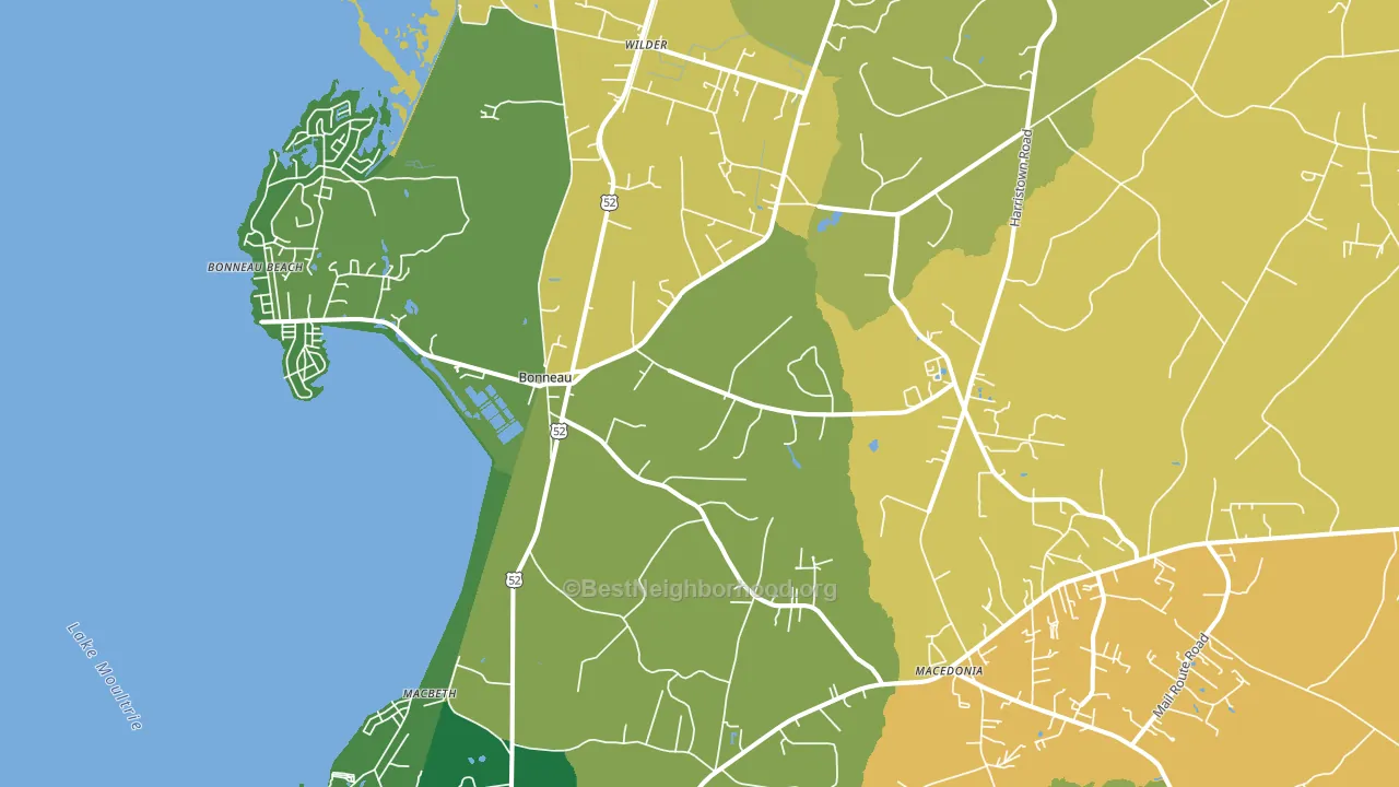 Bonneau, SC block-group voter-turnout map