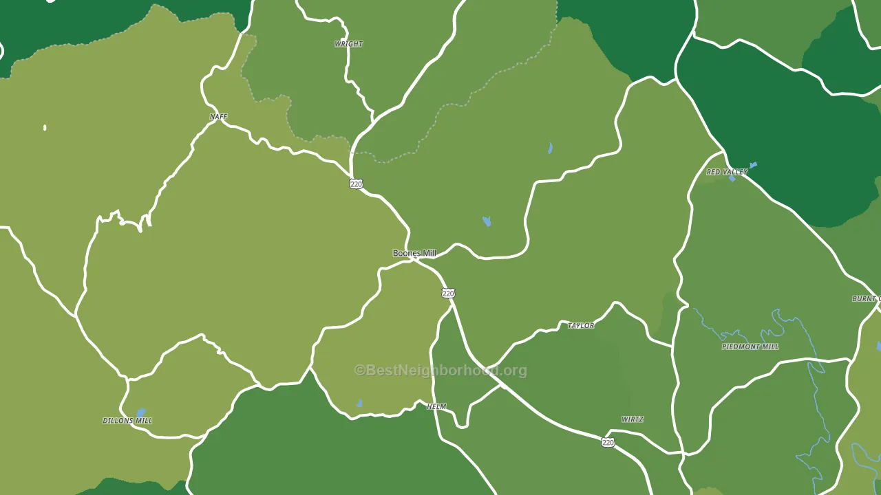 Boones Mill, VA block-group voter-turnout map