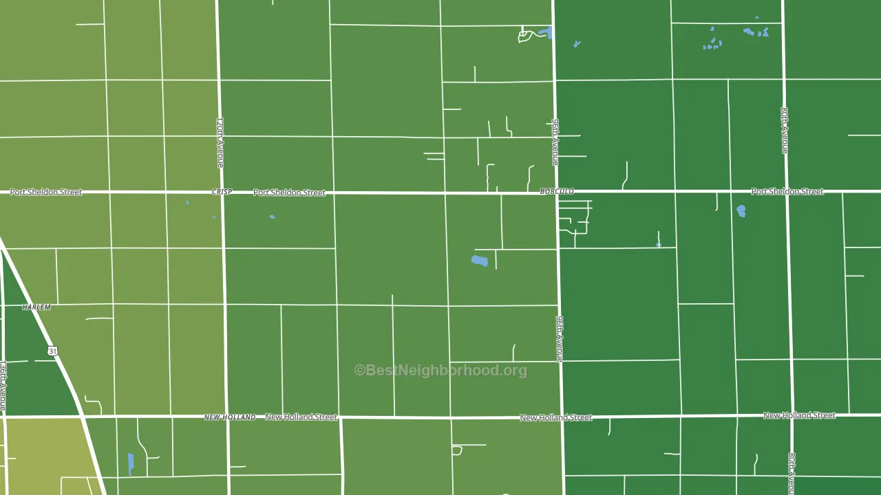 Borculo, MI block-group voter-turnout map