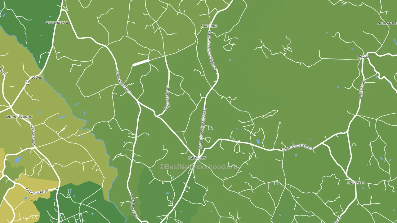 Bostic, NC block-group voter-turnout map