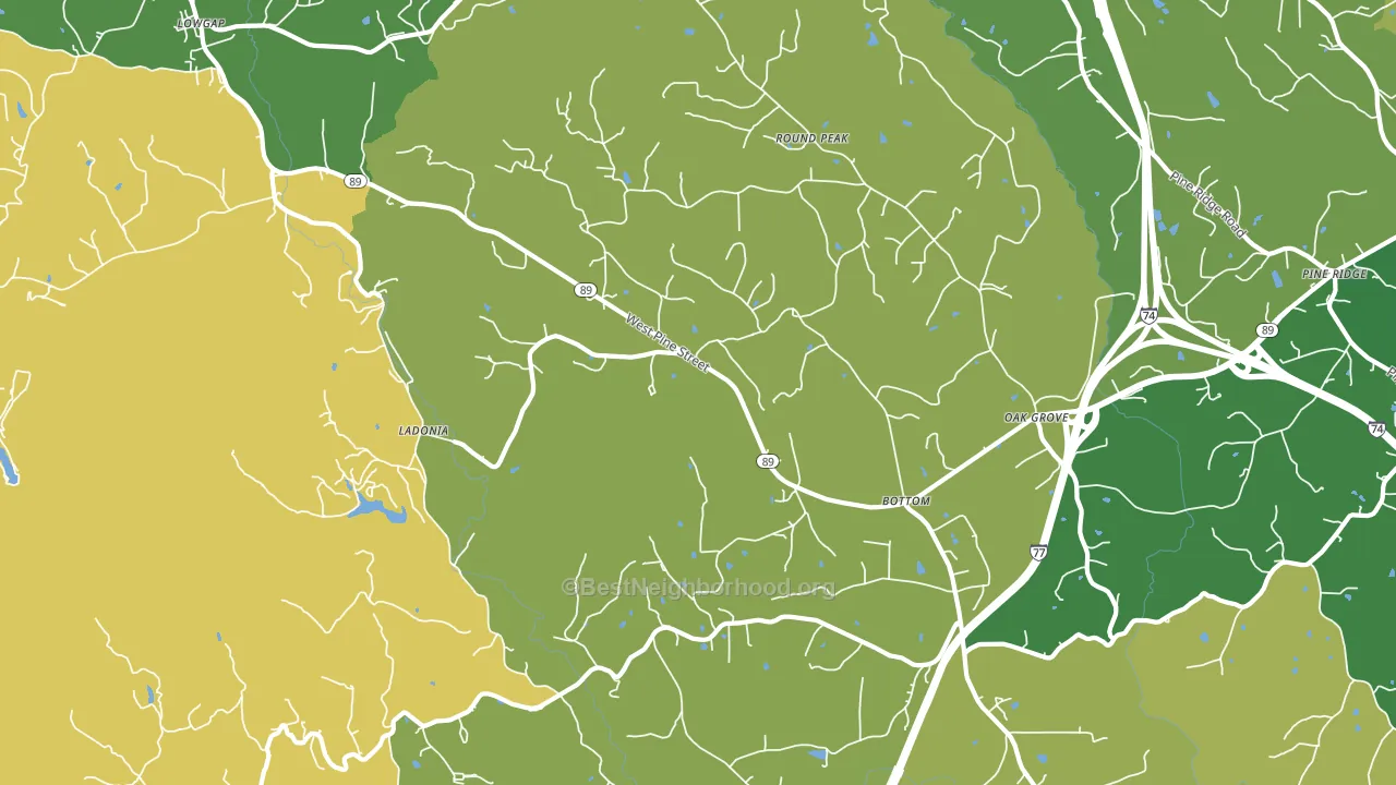 Bottom, NC block-group voter-turnout map