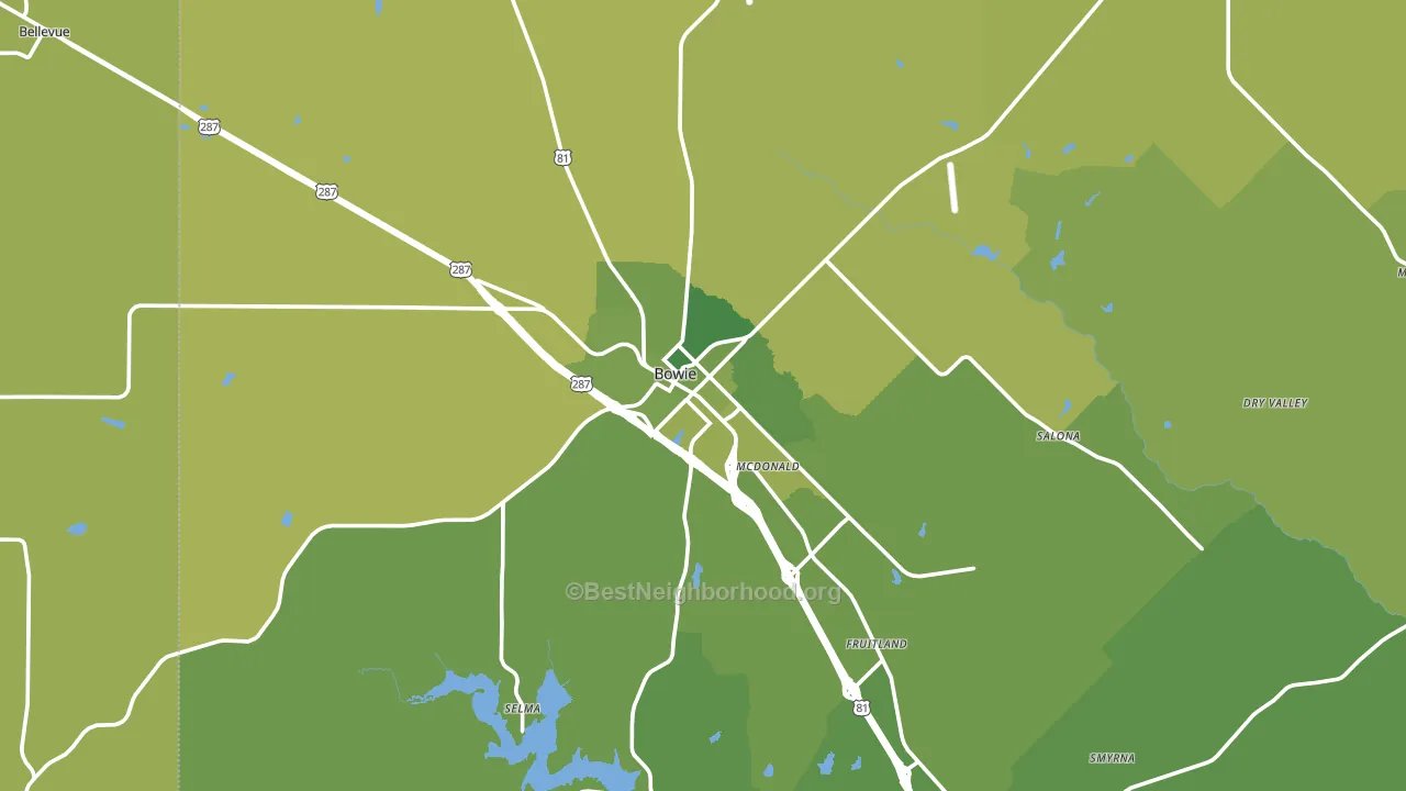 Bowie, TX block-group voter-turnout map
