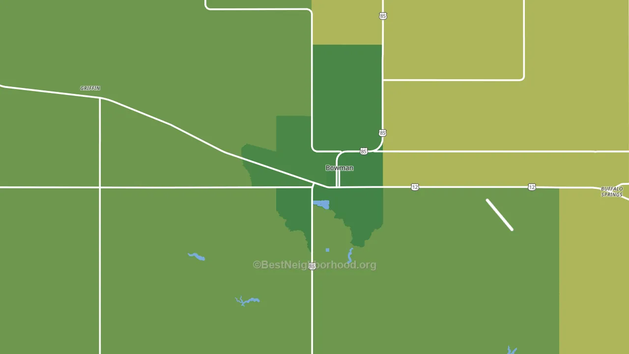 Bowman, ND block-group voter-turnout map
