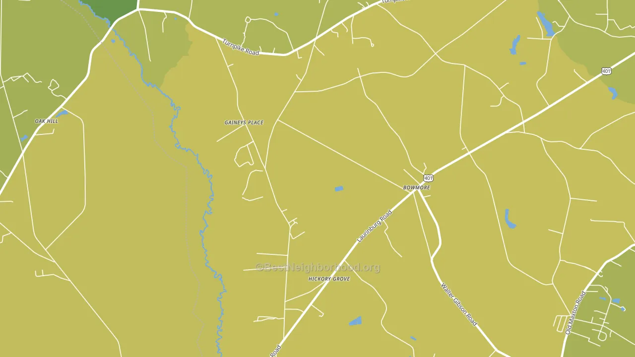 Bowmore, NC block-group voter-turnout map