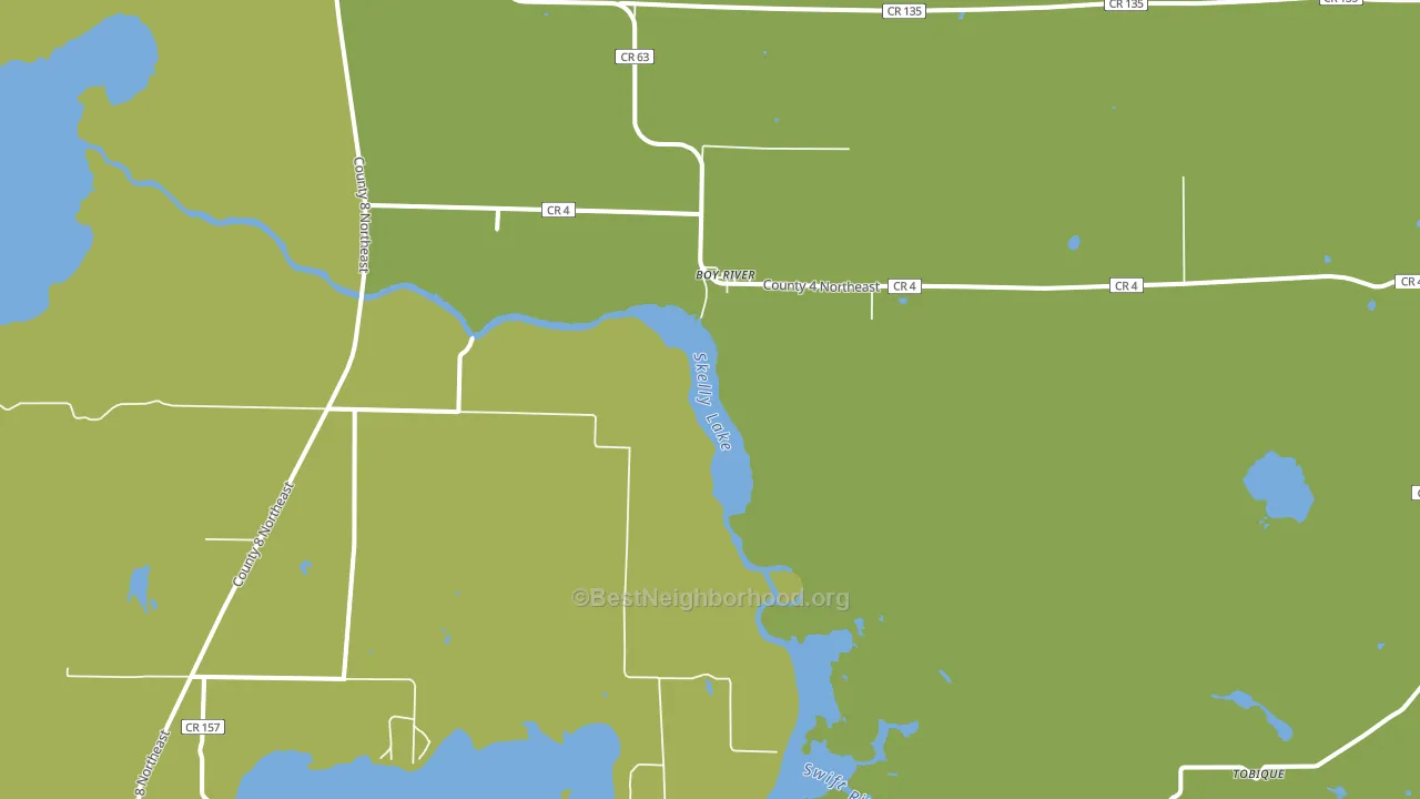 Boy River, MN block-group voter-turnout map