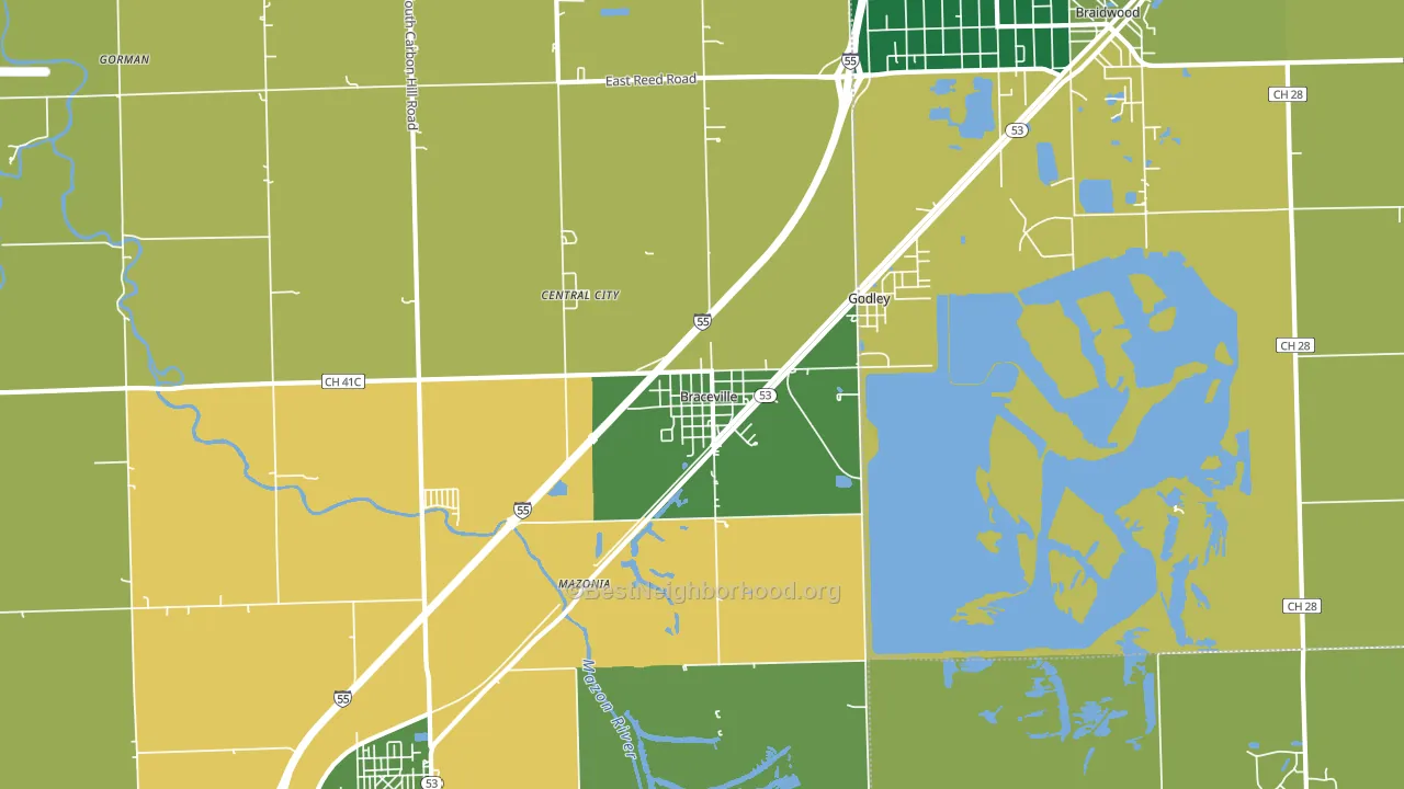 Braceville, IL block-group voter-turnout map