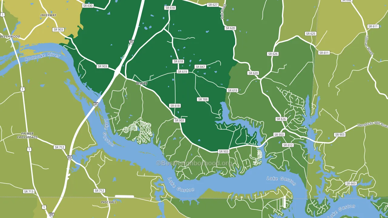 Bracey, VA block-group voter-turnout map