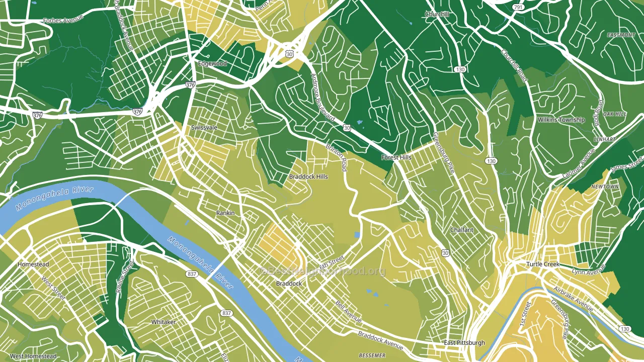 Braddock Hills, PA block-group voter-turnout map