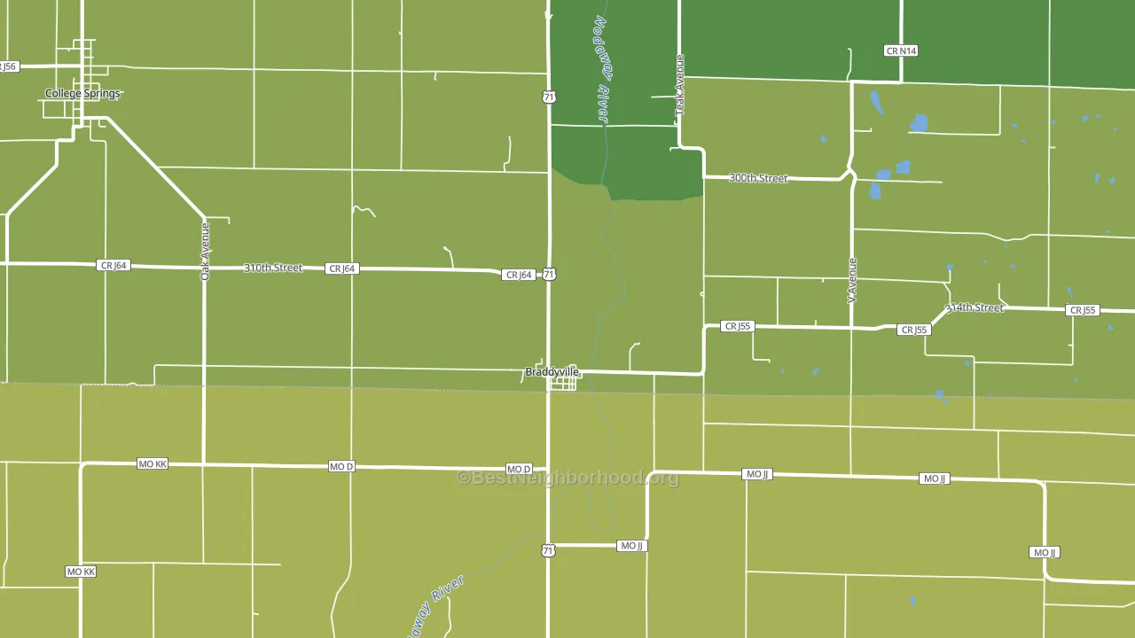 Braddyville, IA block-group voter-turnout map