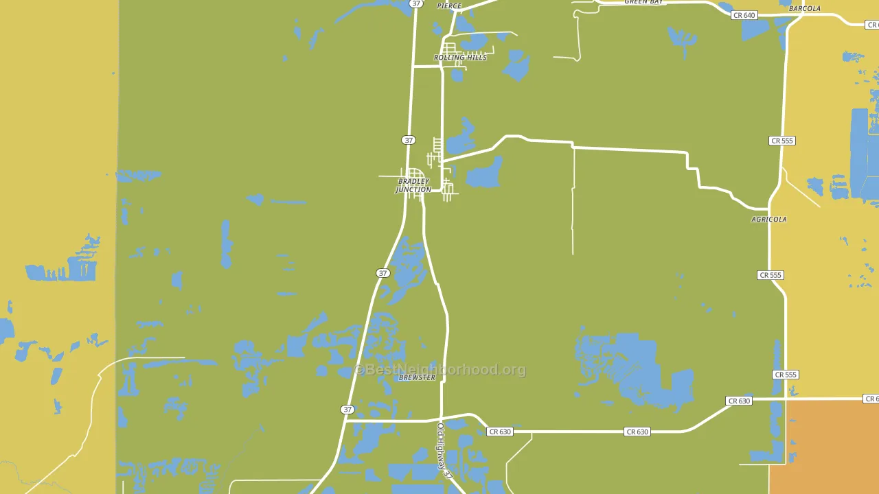 Bradley, FL block-group voter-turnout map