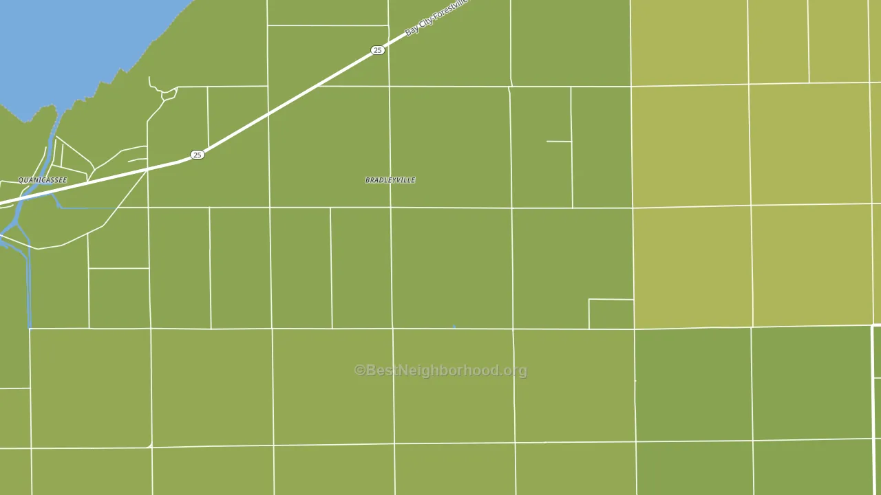 Bradleyville, MI block-group voter-turnout map