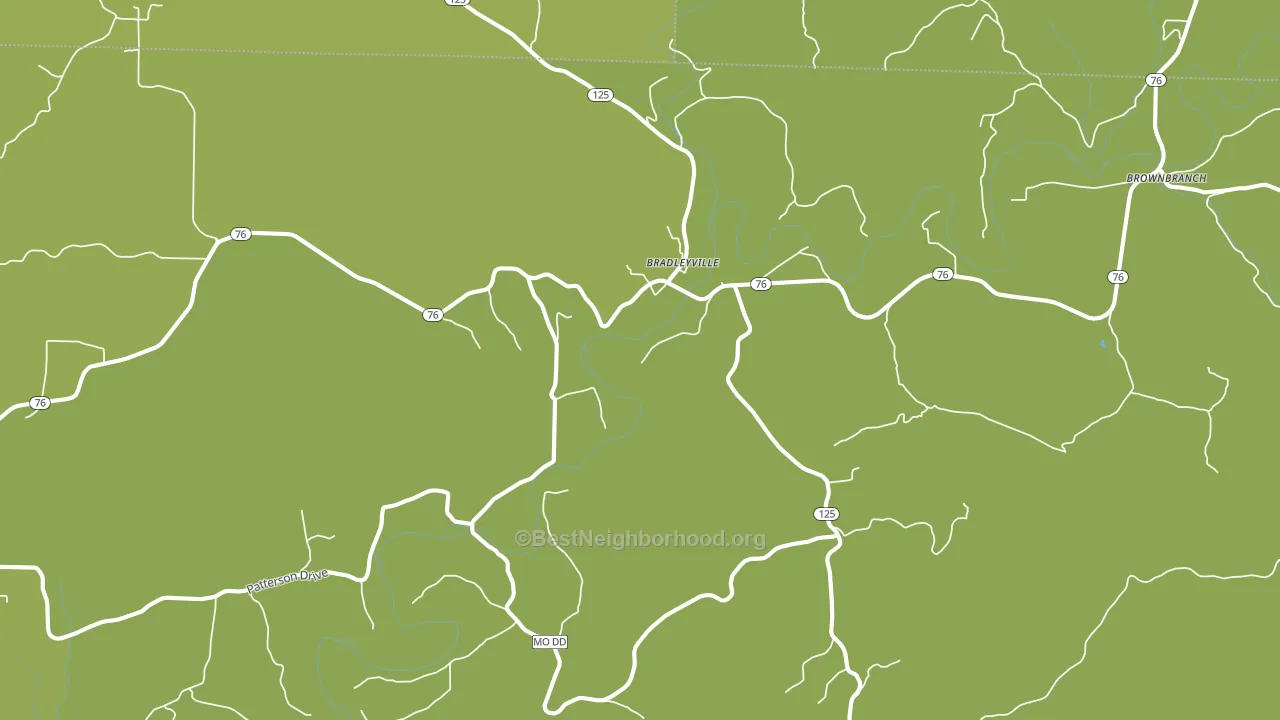 Bradleyville, MO block-group voter-turnout map