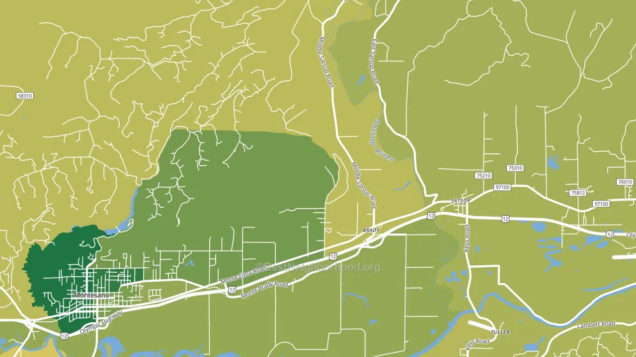 Brady, WA block-group voter-turnout map