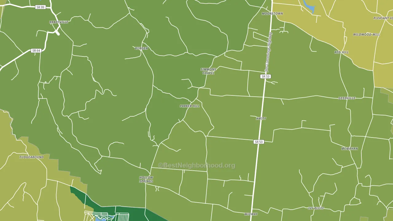 Bradyville, TN block-group voter-turnout map