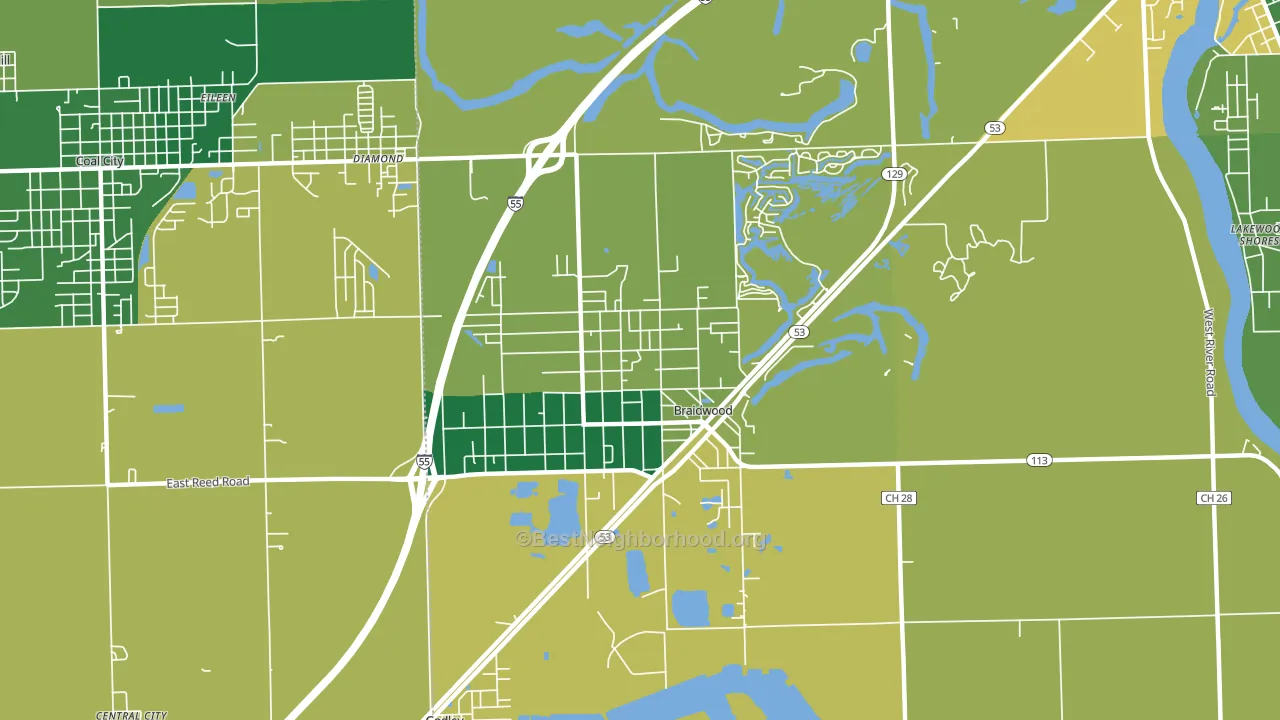 Braidwood, IL block-group voter-turnout map