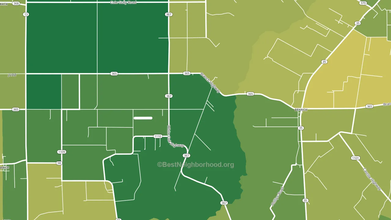 Branch, LA block-group voter-turnout map