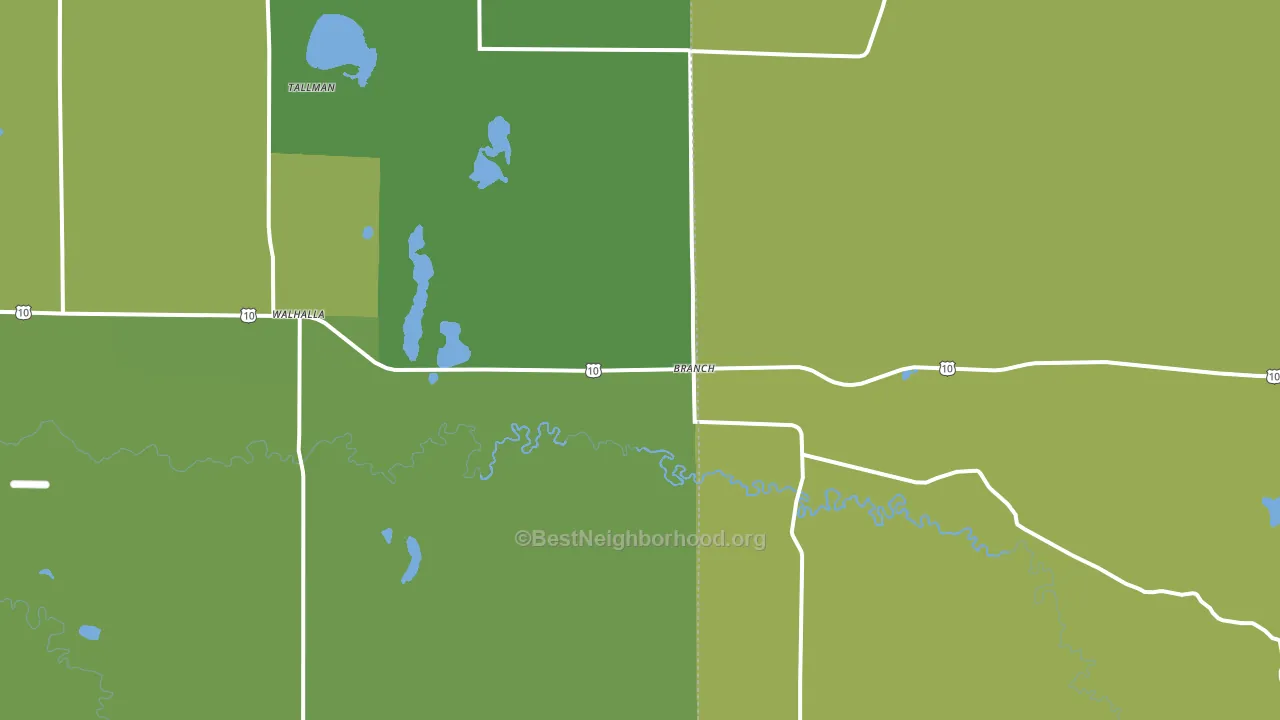 Branch, MI block-group voter-turnout map