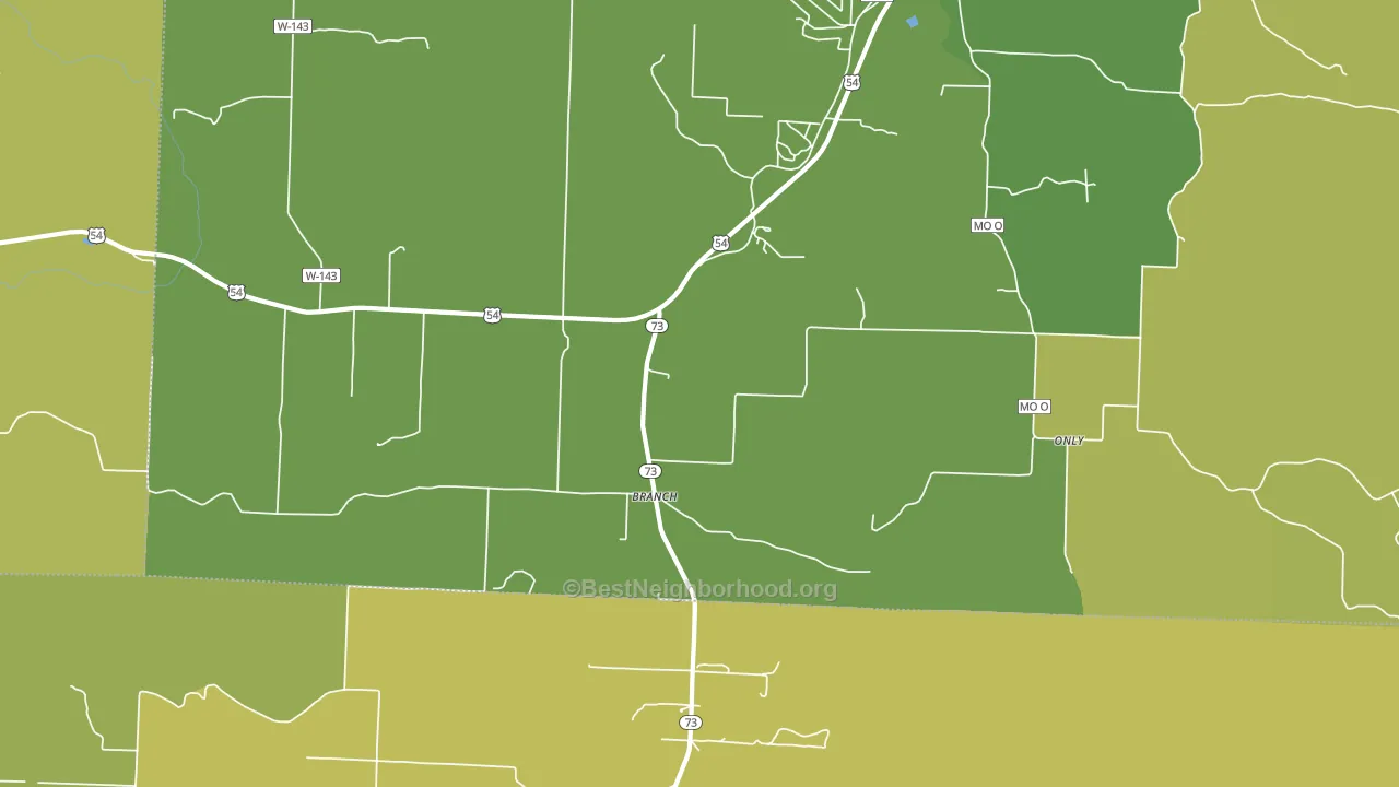 Branch, MO block-group voter-turnout map