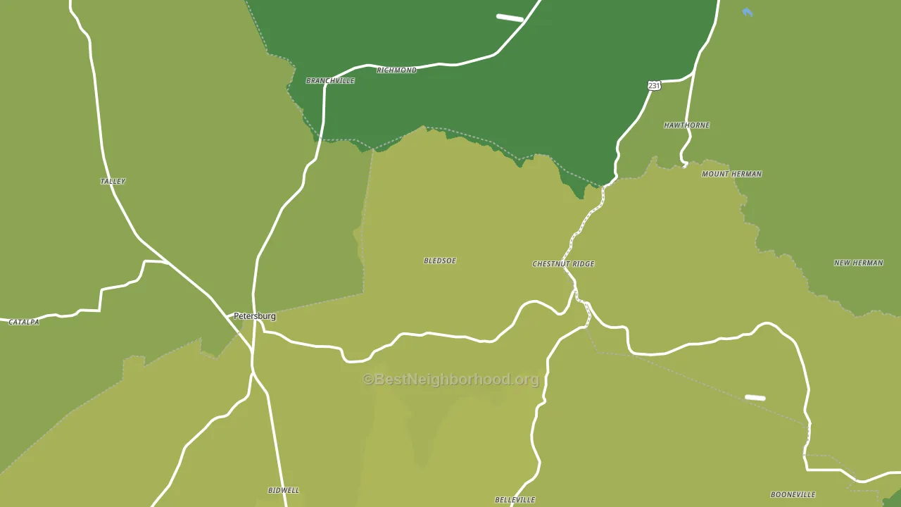 Branchville, TN block-group voter-turnout map