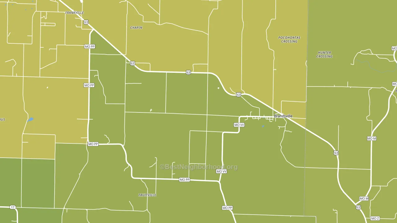 Brandsville, MO block-group voter-turnout map