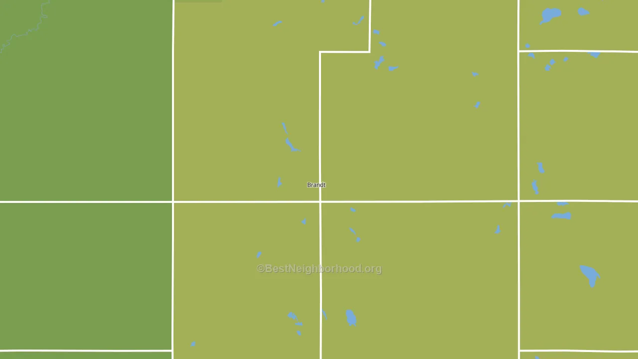 Brandt, SD block-group voter-turnout map