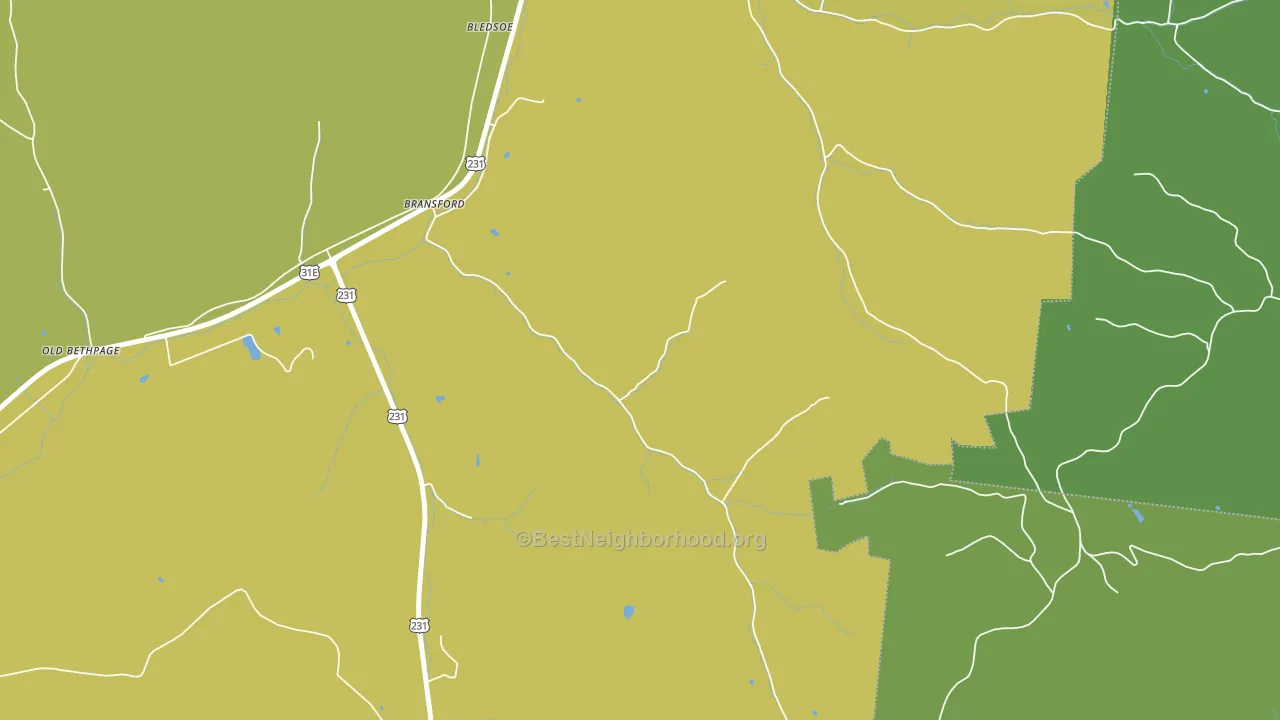 Bransford, TN block-group voter-turnout map