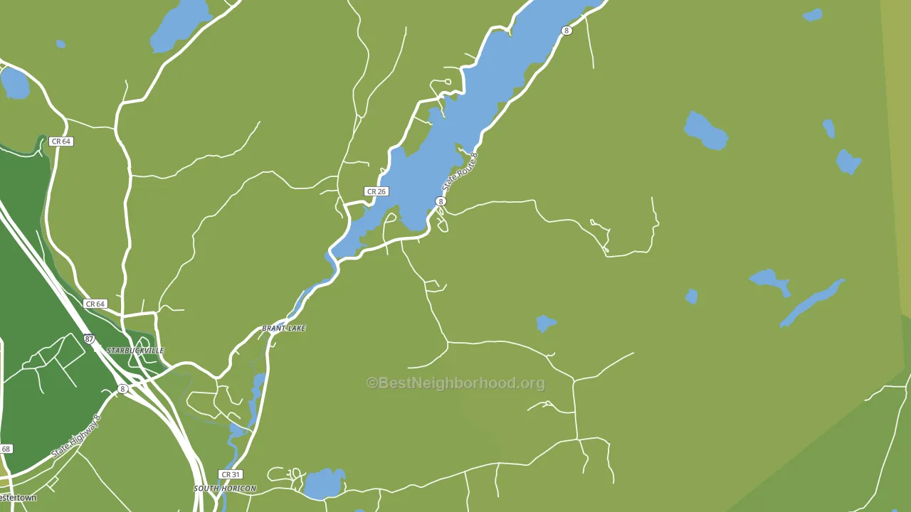 Brant Lake, NY block-group voter-turnout map