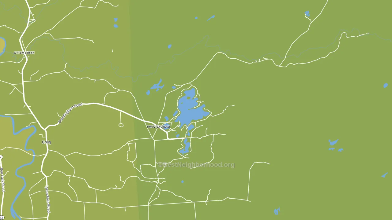 Brantingham, NY block-group voter-turnout map