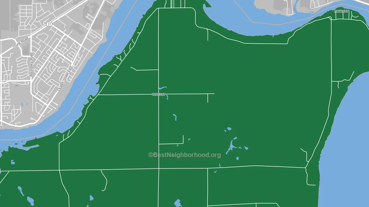 Brassar, MI block-group voter-turnout map