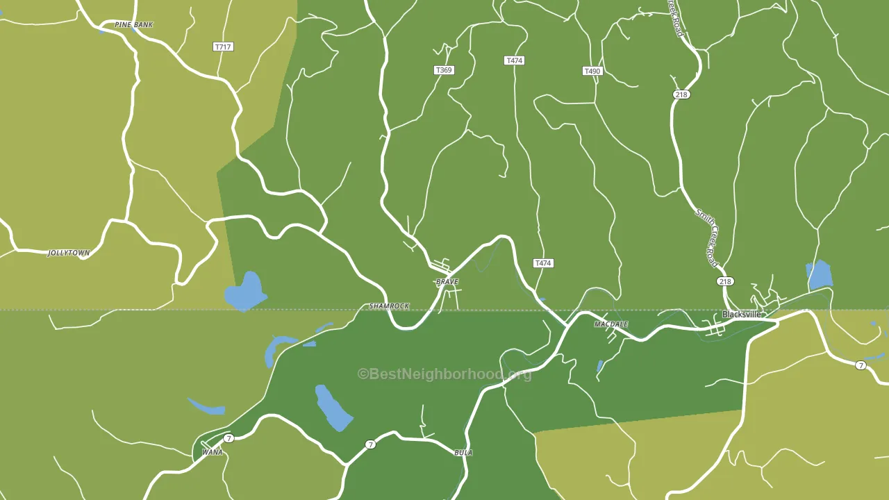 Brave, PA block-group voter-turnout map