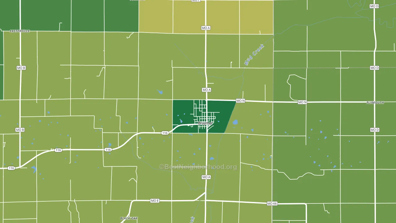 Braymer, MO block-group voter-turnout map
