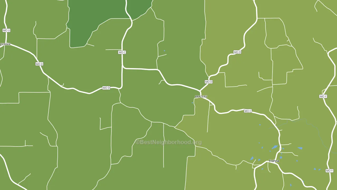 Brazeau, MO block-group voter-turnout map