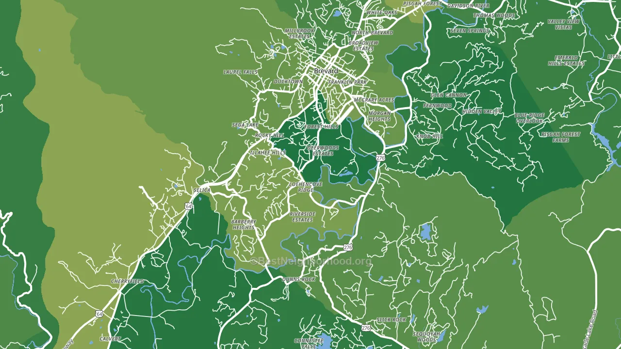 Brevard, NC block-group voter-turnout map
