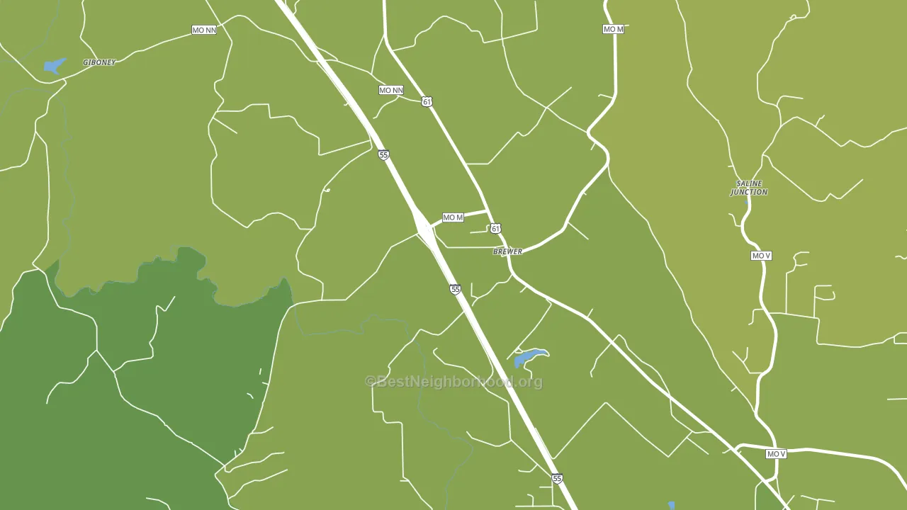 Brewer, MO block-group voter-turnout map