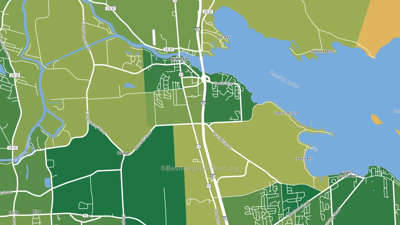Brewerton, NY block-group voter-turnout map