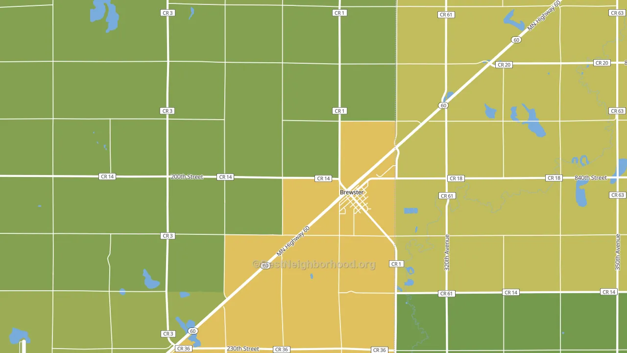 Brewster, MN block-group voter-turnout map