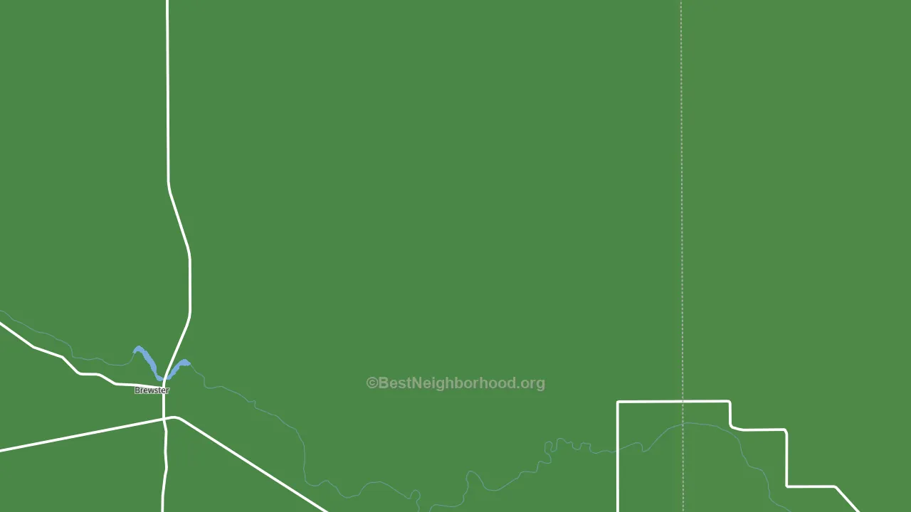 Brewster, NE block-group voter-turnout map