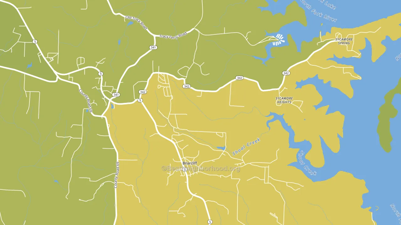 Briarcliff, AR block-group voter-turnout map
