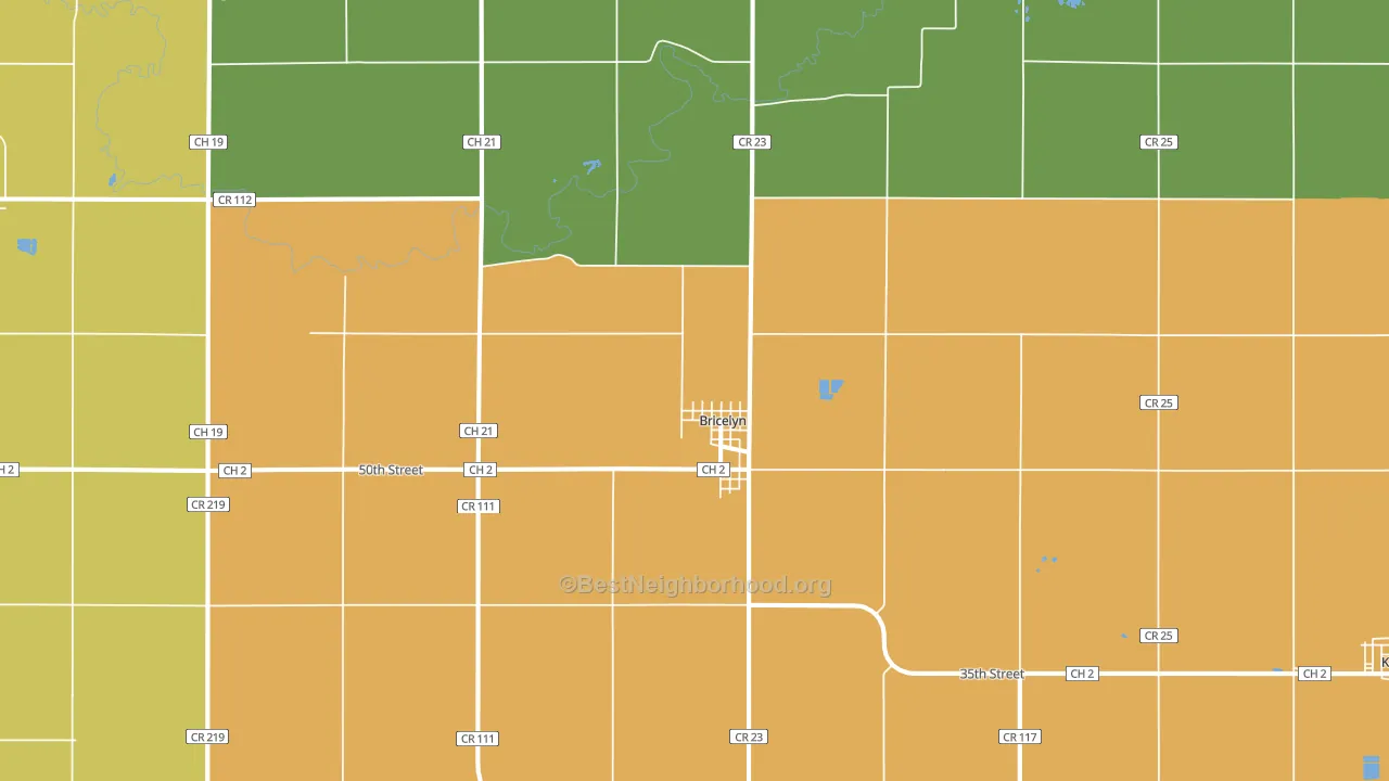 Bricelyn, MN block-group voter-turnout map
