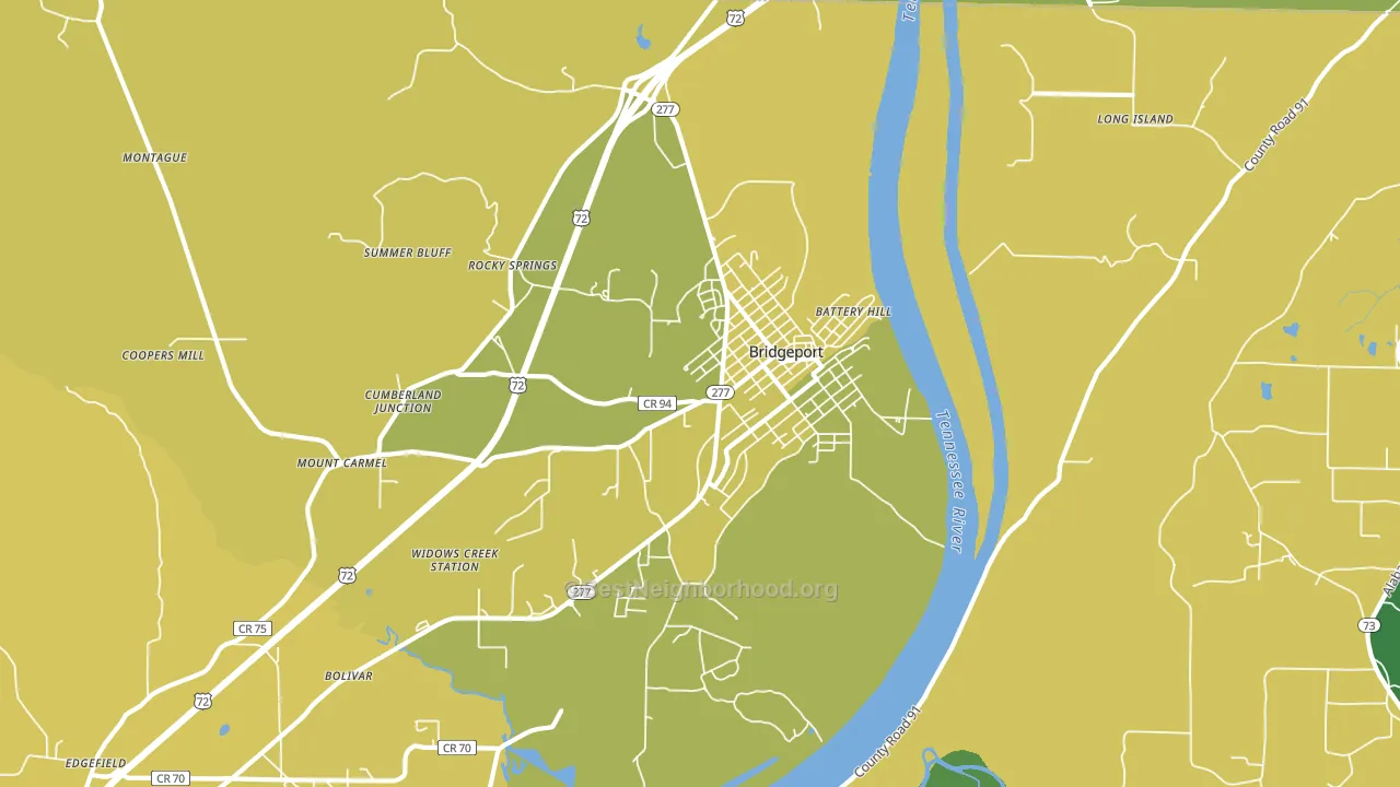 Bridgeport, AL block-group voter-turnout map