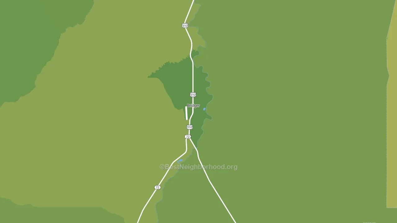 Bridger, MT block-group voter-turnout map