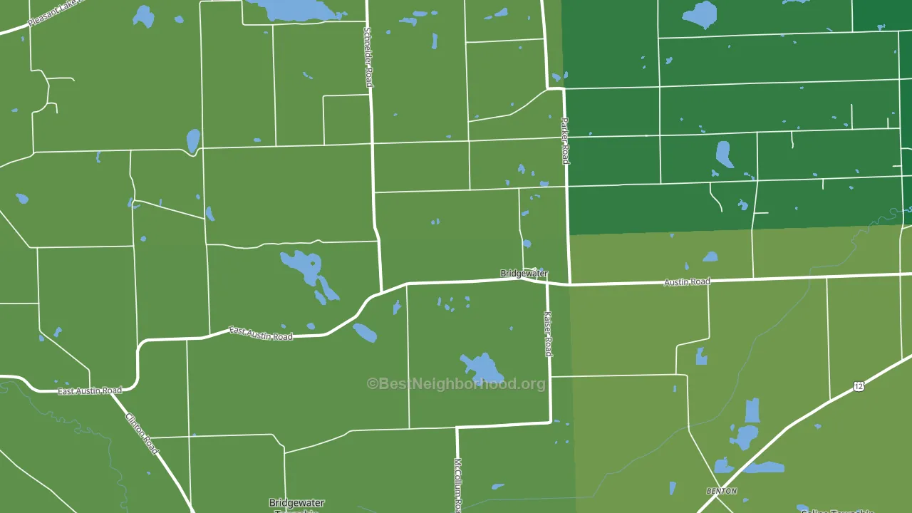 Bridgewater, MI block-group voter-turnout map