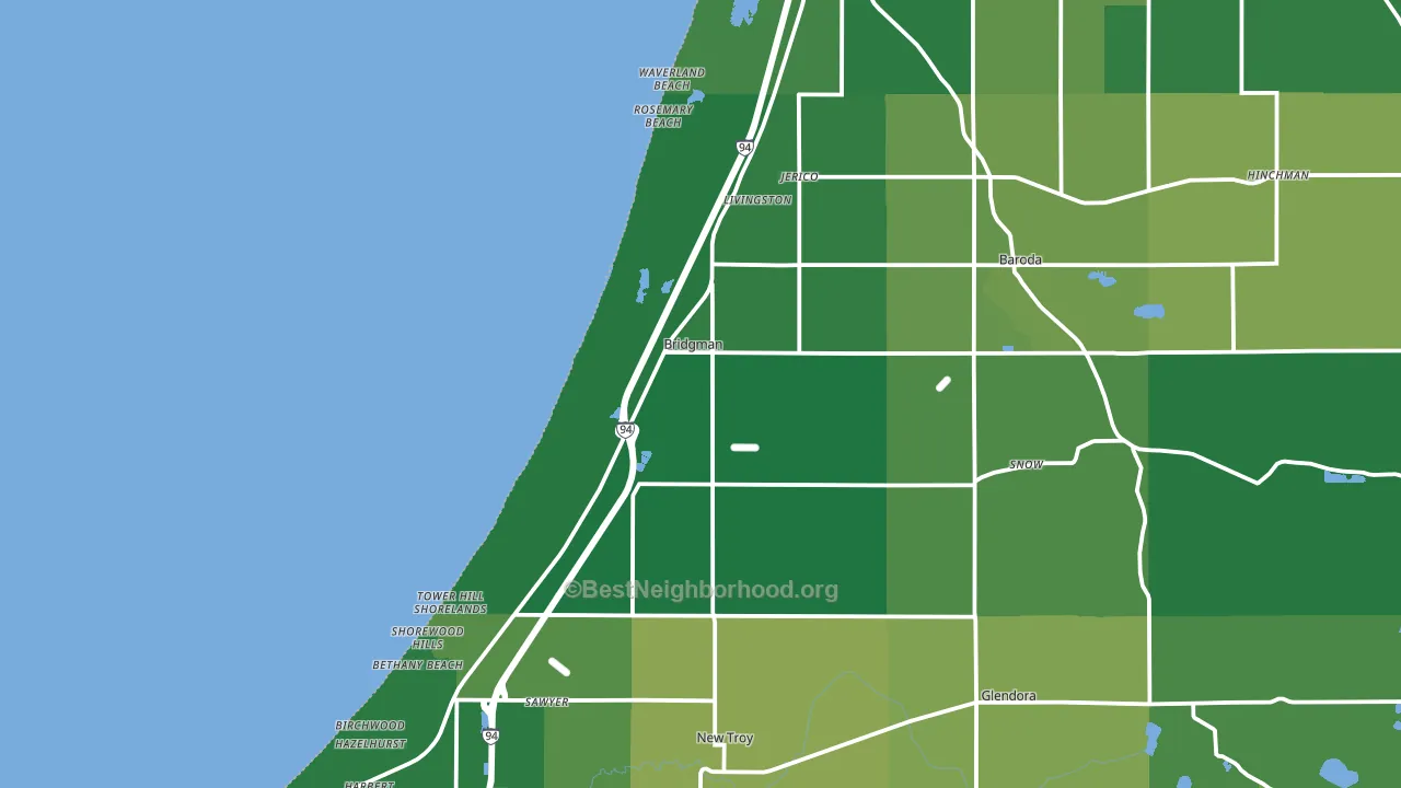 Bridgman, MI block-group voter-turnout map