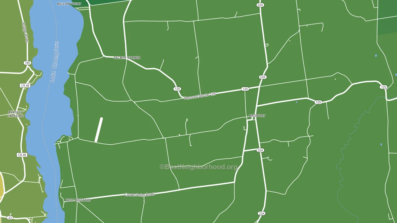 Bridport, VT block-group voter-turnout map