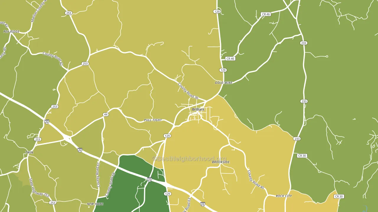 Brilliant, AL block-group voter-turnout map
