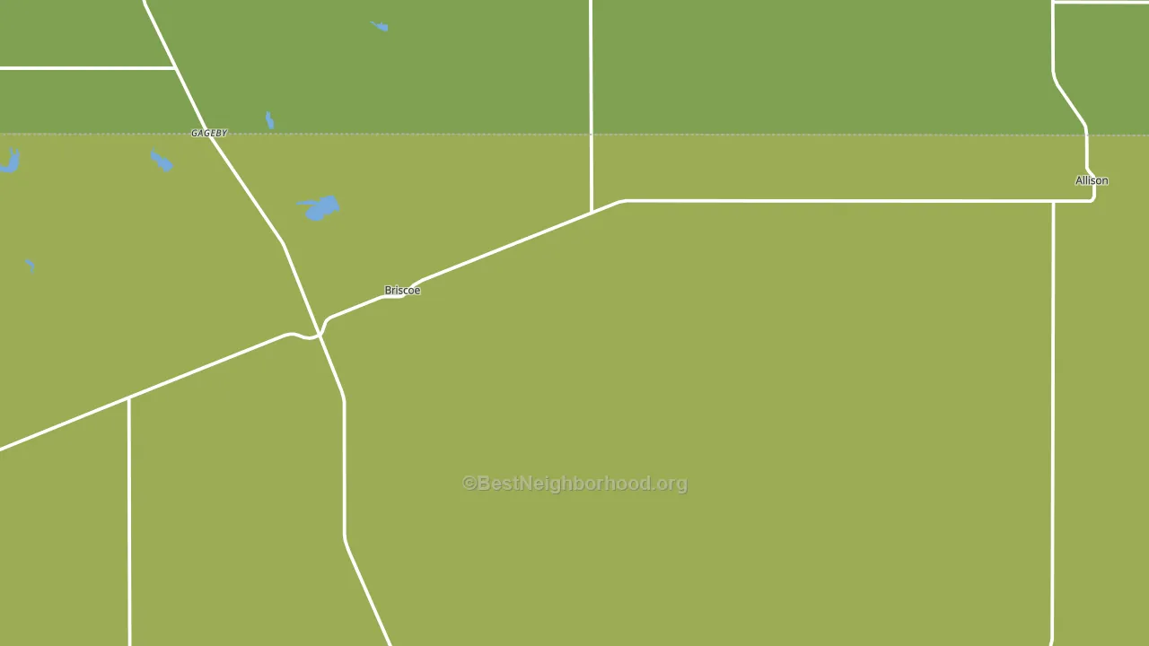 Briscoe, TX block-group voter-turnout map