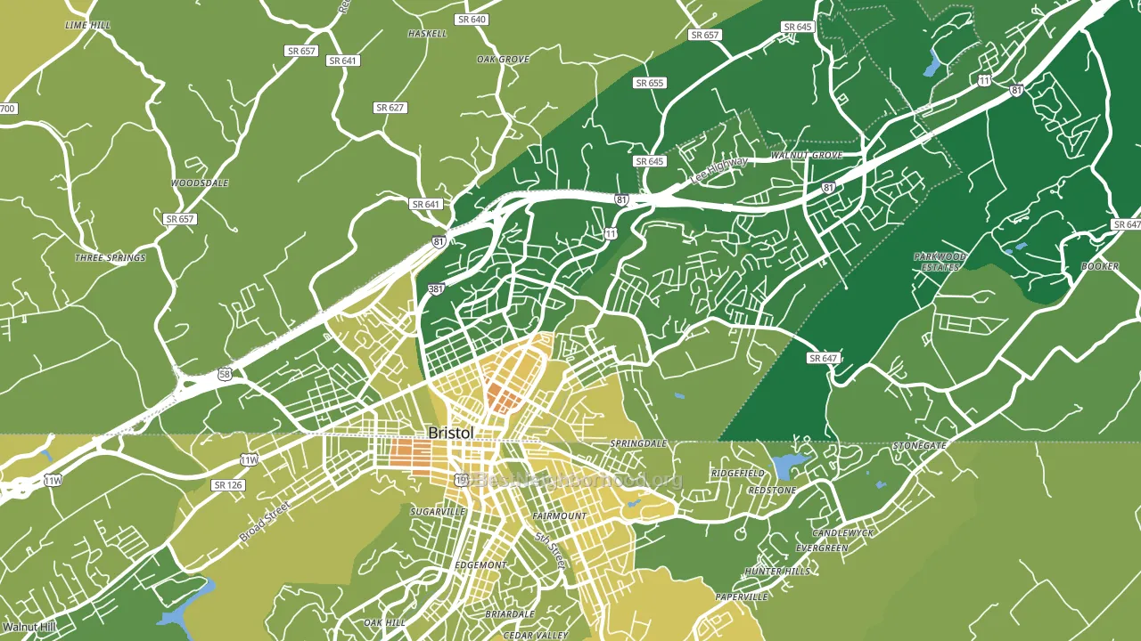 Bristol City, VA block-group voter-turnout map