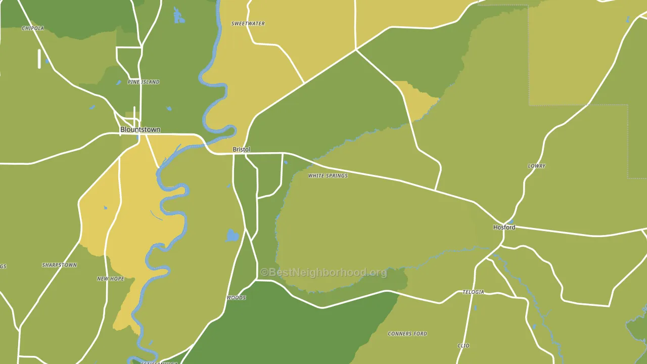 Bristol, FL block-group voter-turnout map